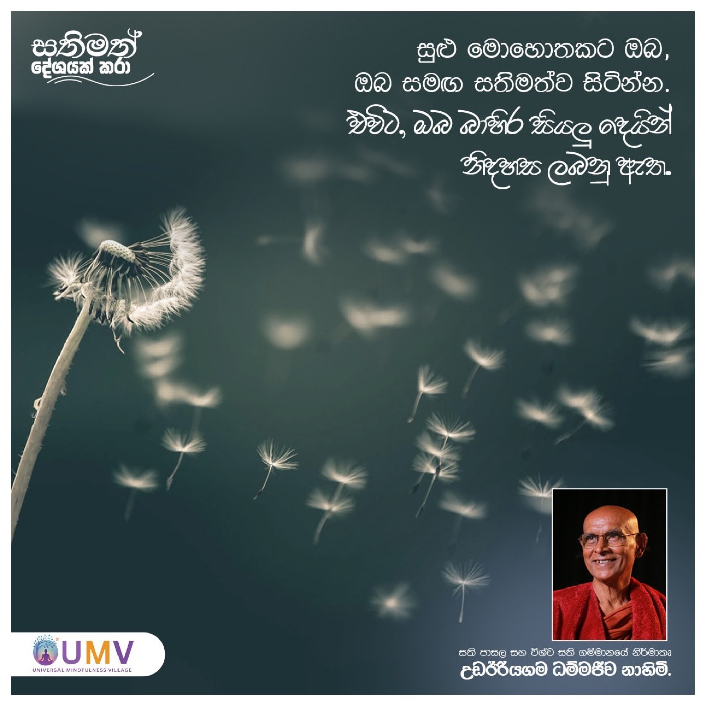 UMV Gallery