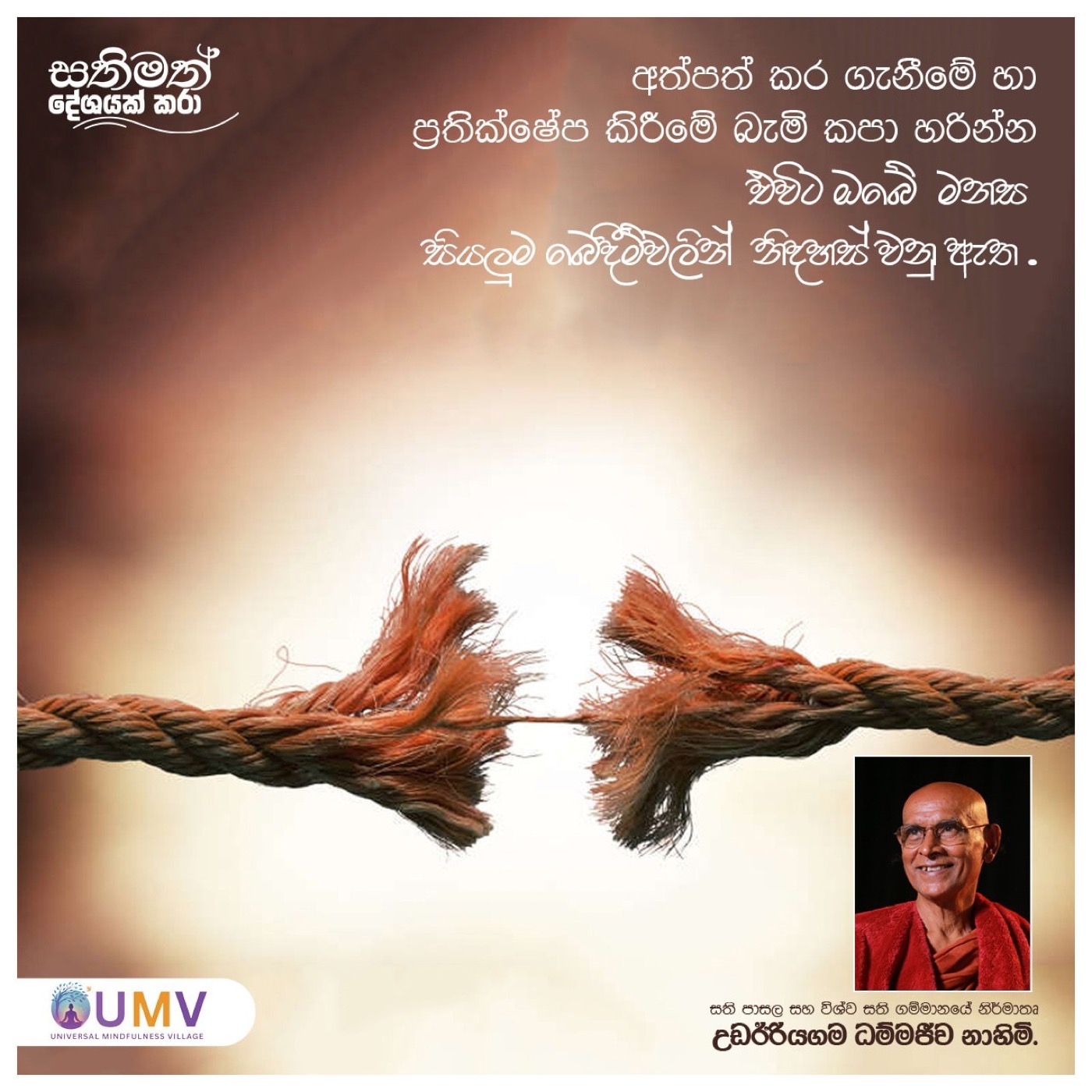 UMV Gallery