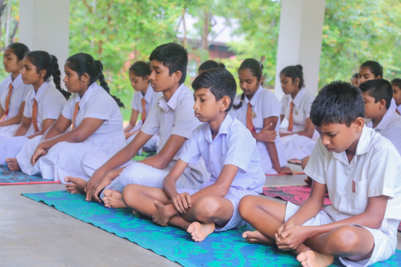Education Sector
